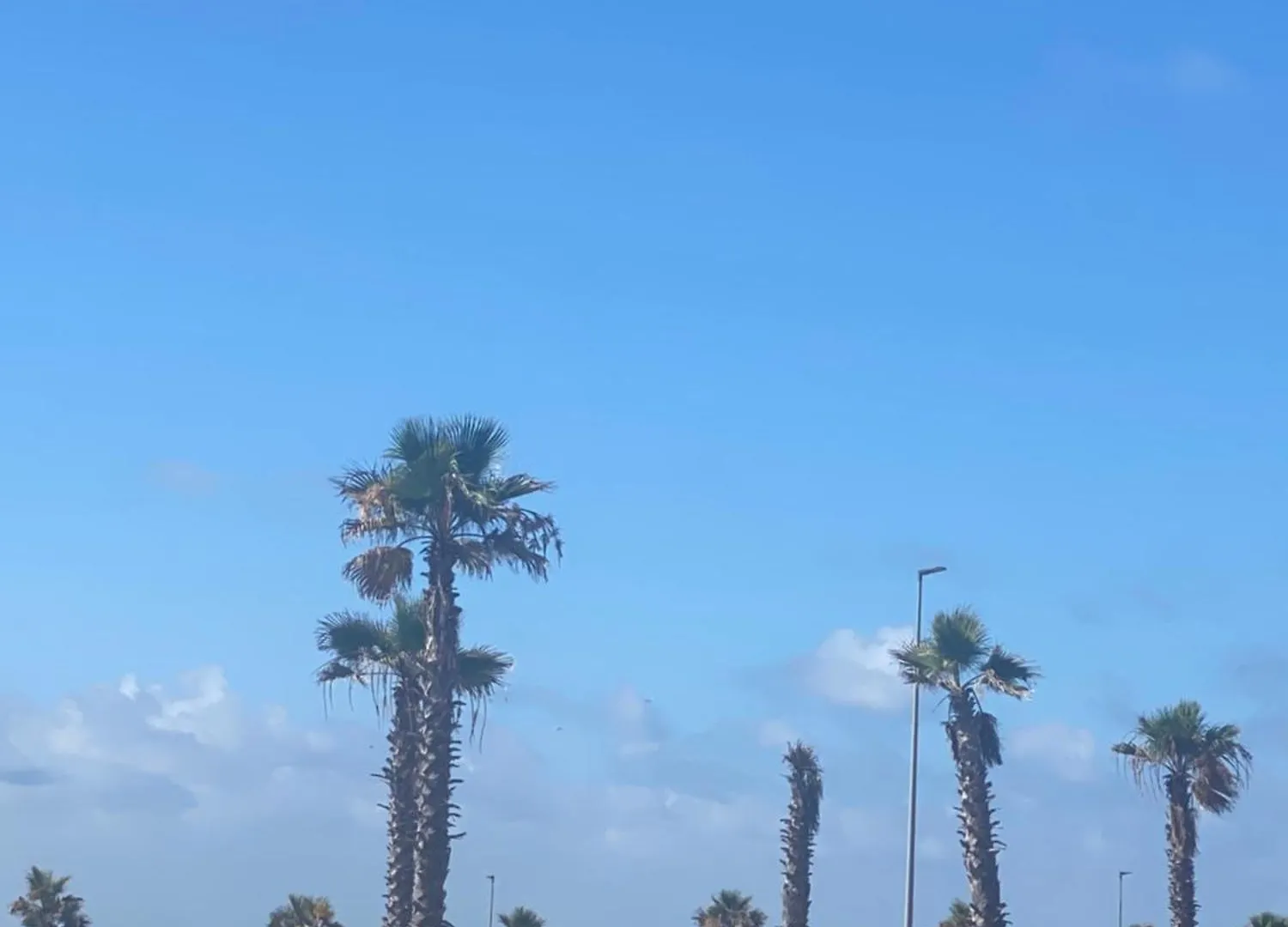 Boulevard De La Corniche Casablanca